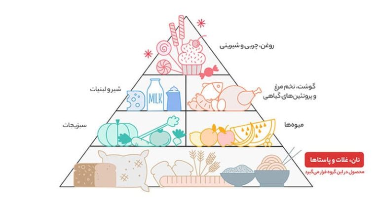 ماکارونی شلز